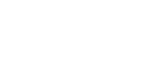 pdf icon